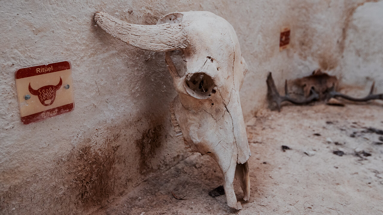 UNESCO Çatalhöyük 2